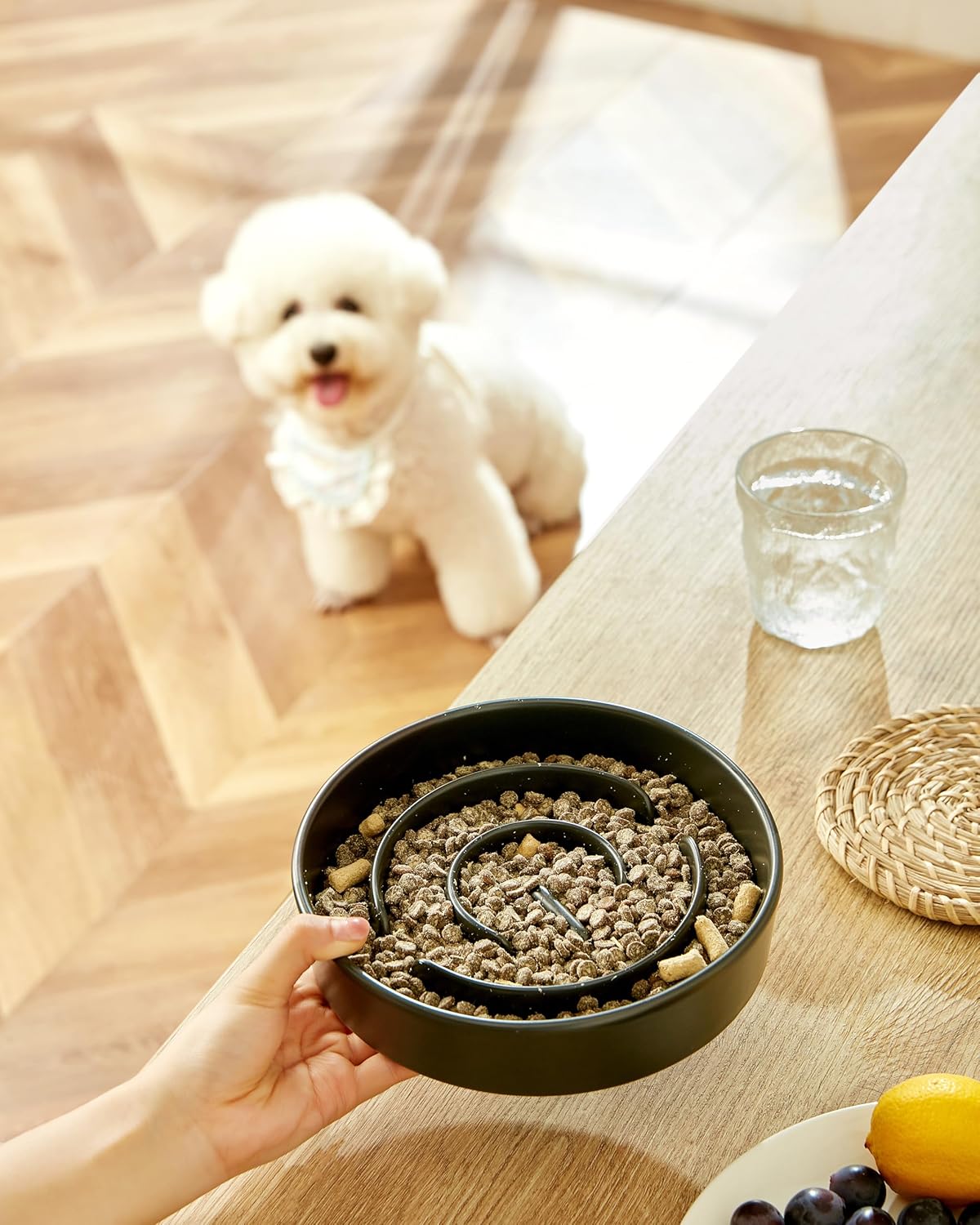 Ceramic Slow Feeder Dog Bowls, 2.0 Cups Slow Feeder for Medium Dogs, Puzzle Maze Bowl to Slow Down Eating, 30oz, 8in, White