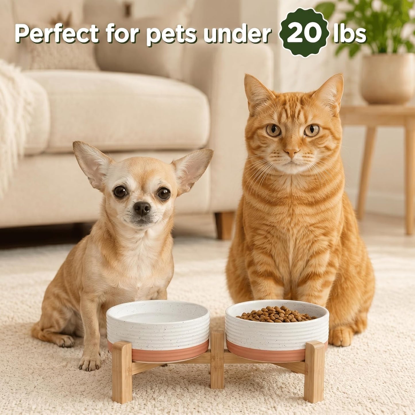 SPUNKYJUNKY Elevated Dog Bowls Ceramic, 6.1'' Dogs and Cat Food Water Bowls Raised with Non-Slip Bamboo Stand for Medium Sized Breed Microwave Dishwasher Safe - 28.7 OZ,Beige