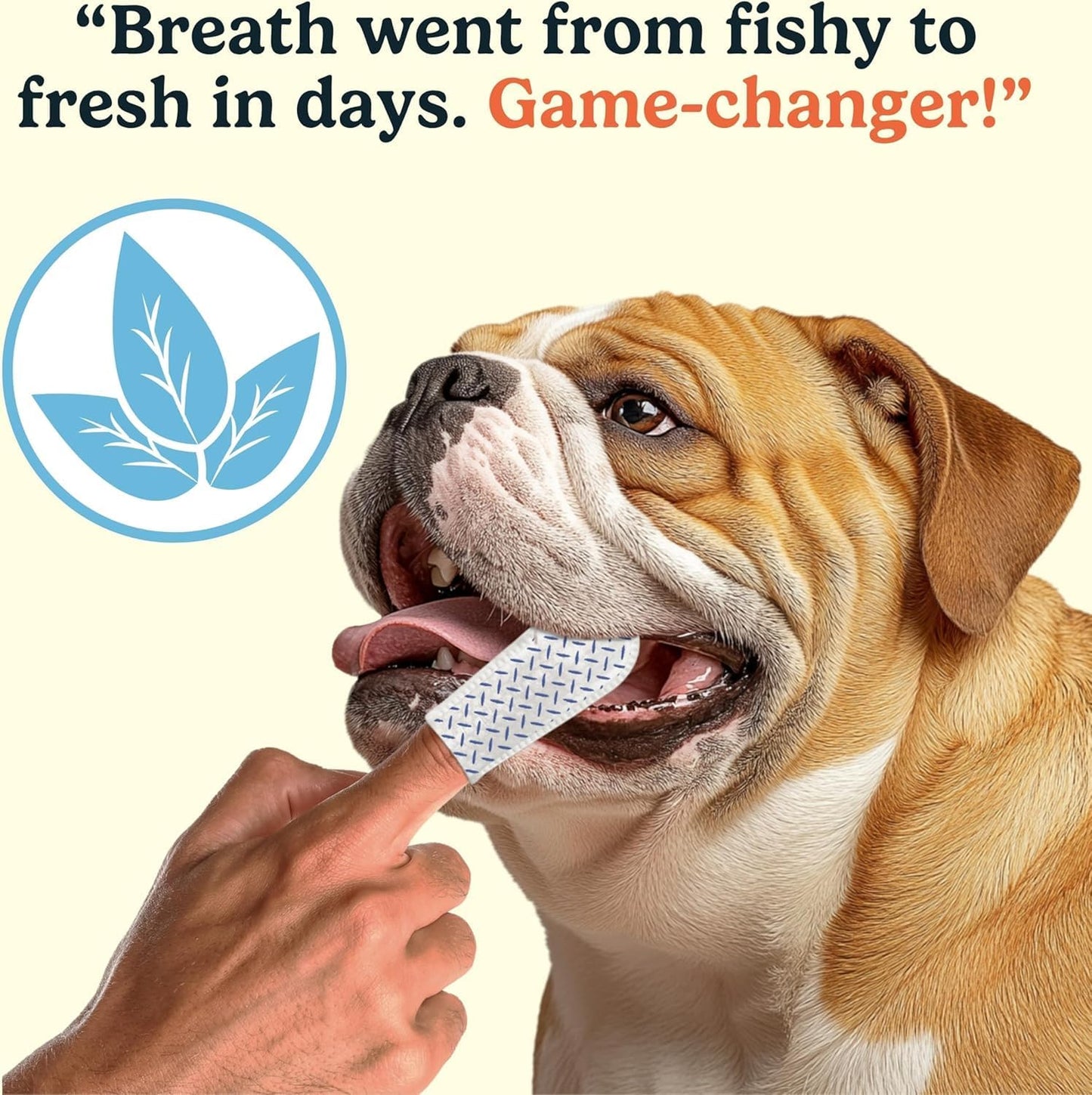 Jasper Dog Dental Wipes, Vet-Recommended Natural Cat & Dog Teeth Cleaning Wipes Dog Teeth Cleaner, Disposable Wipes Fresh Breath PlaqLift Technology Attacks Plaque and Buildup, Coconut, 60 Count