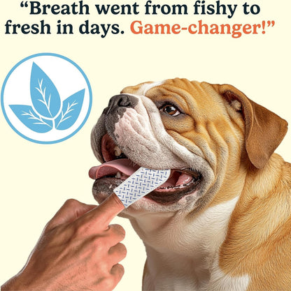 Jasper Dog Dental Wipes, Vet-Recommended Natural Cat & Dog Teeth Cleaning Wipes Dog Teeth Cleaner, Disposable Wipes Fresh Breath PlaqLift Technology Attacks Plaque and Buildup, Coconut, 60 Count