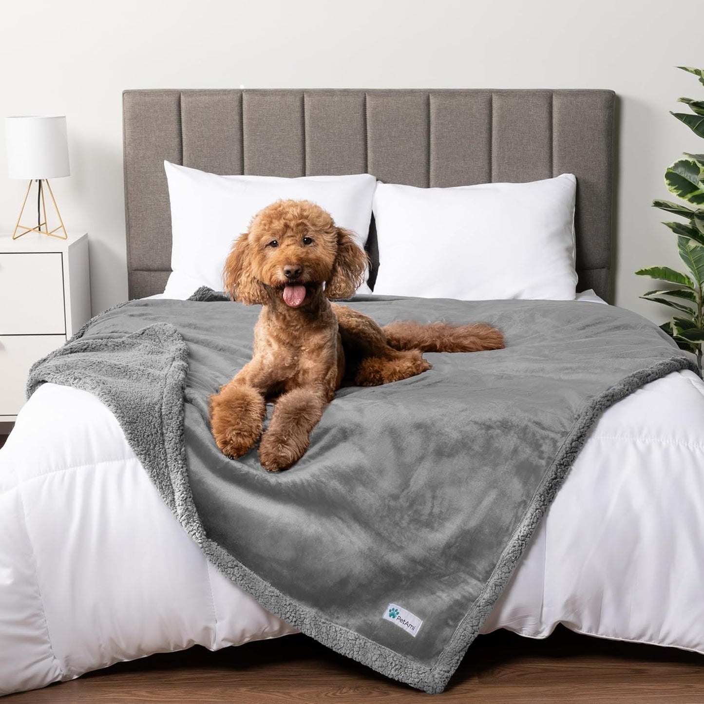 PetAmi Waterproof Dog Blanket for Couch, Large 60x40, Pee Proof Sherpa Fleece Reversible Pet Throw, Furniture Protector for Bed Sofa Kennel, Soft Washable Cover for Medium Dogs Cats, Grey Sherpa