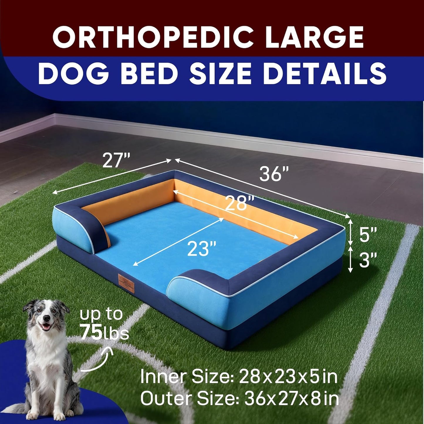 Comfort Expression Orthopedic Dog Bed for Extra Large Dogs 42x30 Inch, Waterproof Egg Crate Foam XL Pet Bed with Removable Bolsters, Dog Couch with Washable Cover & Non-Slip Bottom, Grey - Colors B