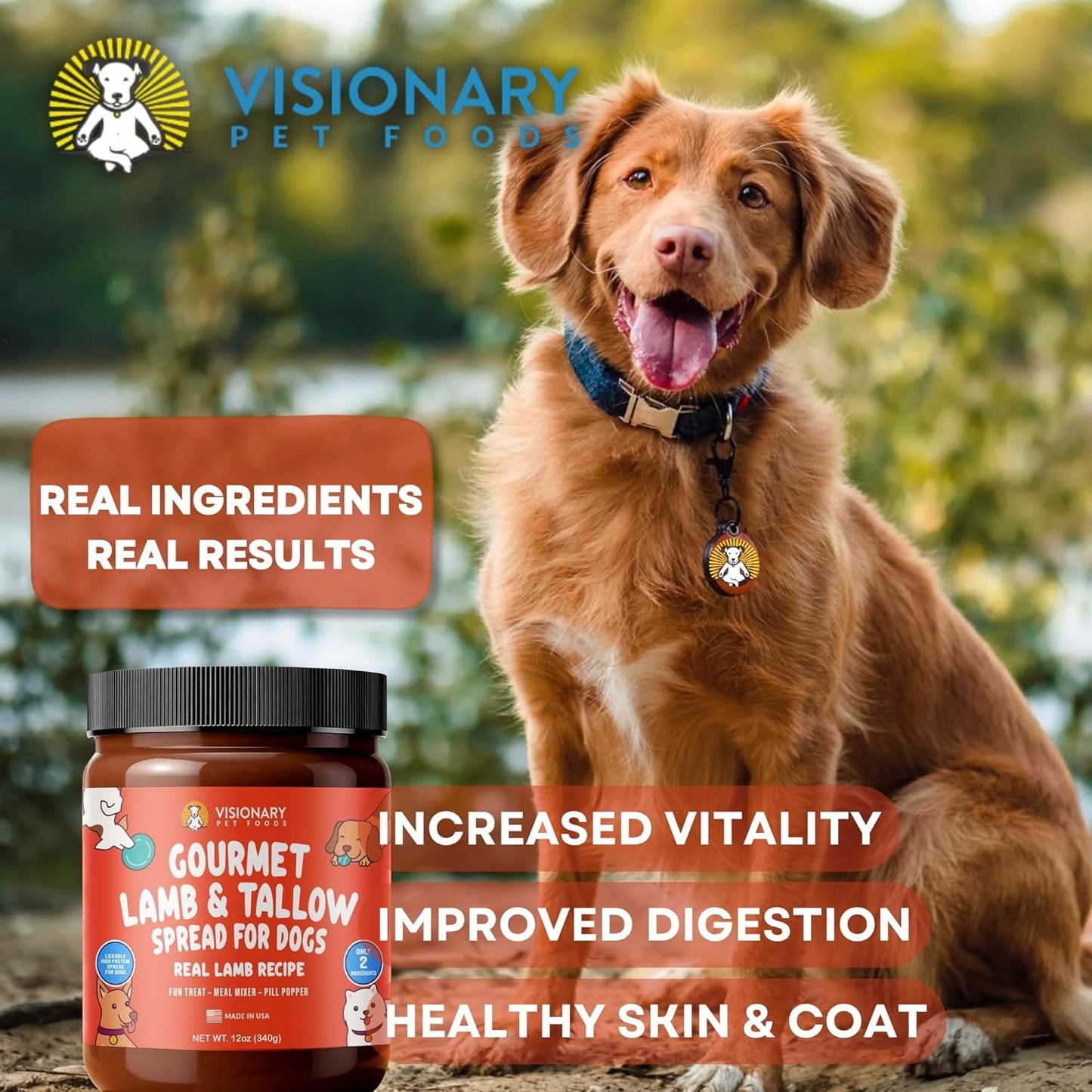 Visionary Pet Foods Beef Meat Spread - Healthy Dog Treat - Alternative to Dog Peanut Butter, Xylitol Free, No Sugar and Filler Free - Use on Lick Mat, Food Mixer, Pill Pockets - 12oz Jar
