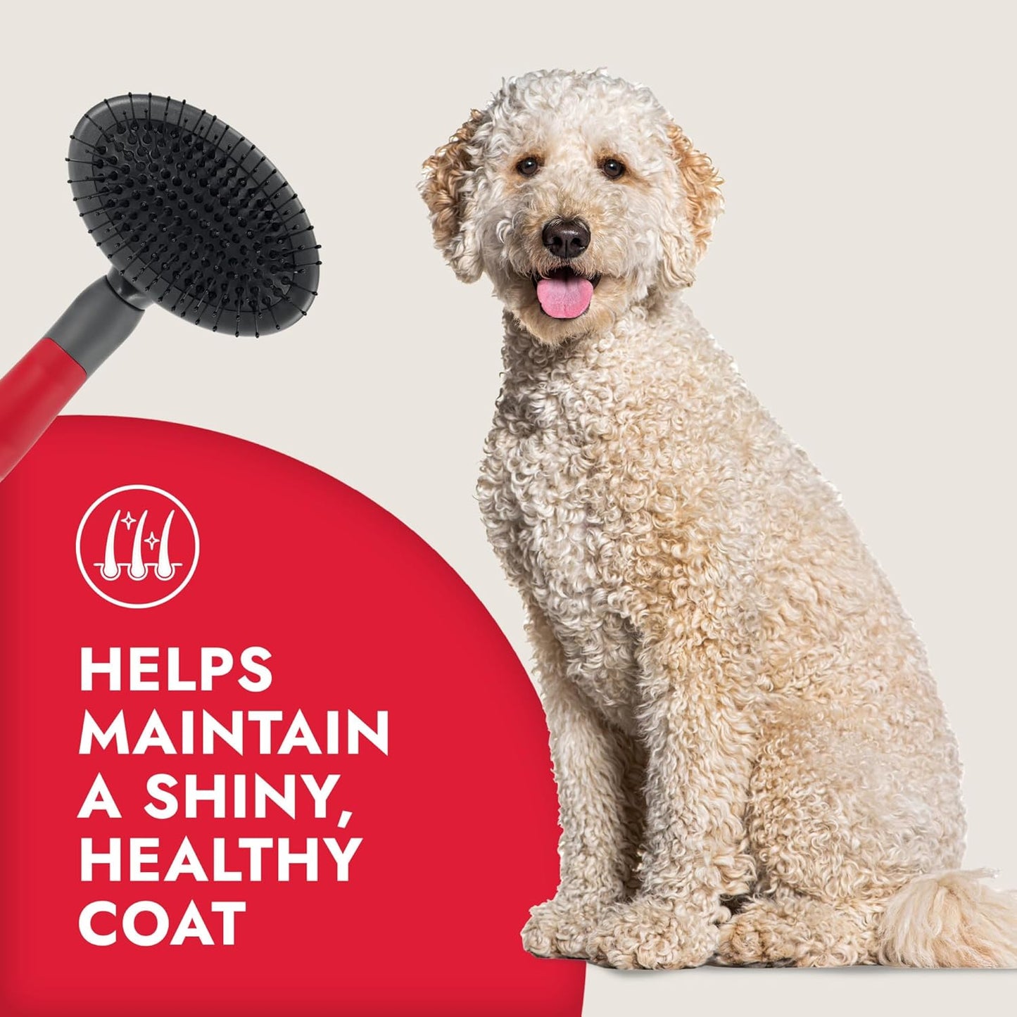 KONG Double-Sided Rake & Deshedding Tool – Detangling & Shedding Control, Rounded Metal Tips, Non-Slip Grip, for Medium to Large Dogs with Medium to Long Coats, Red/Gray