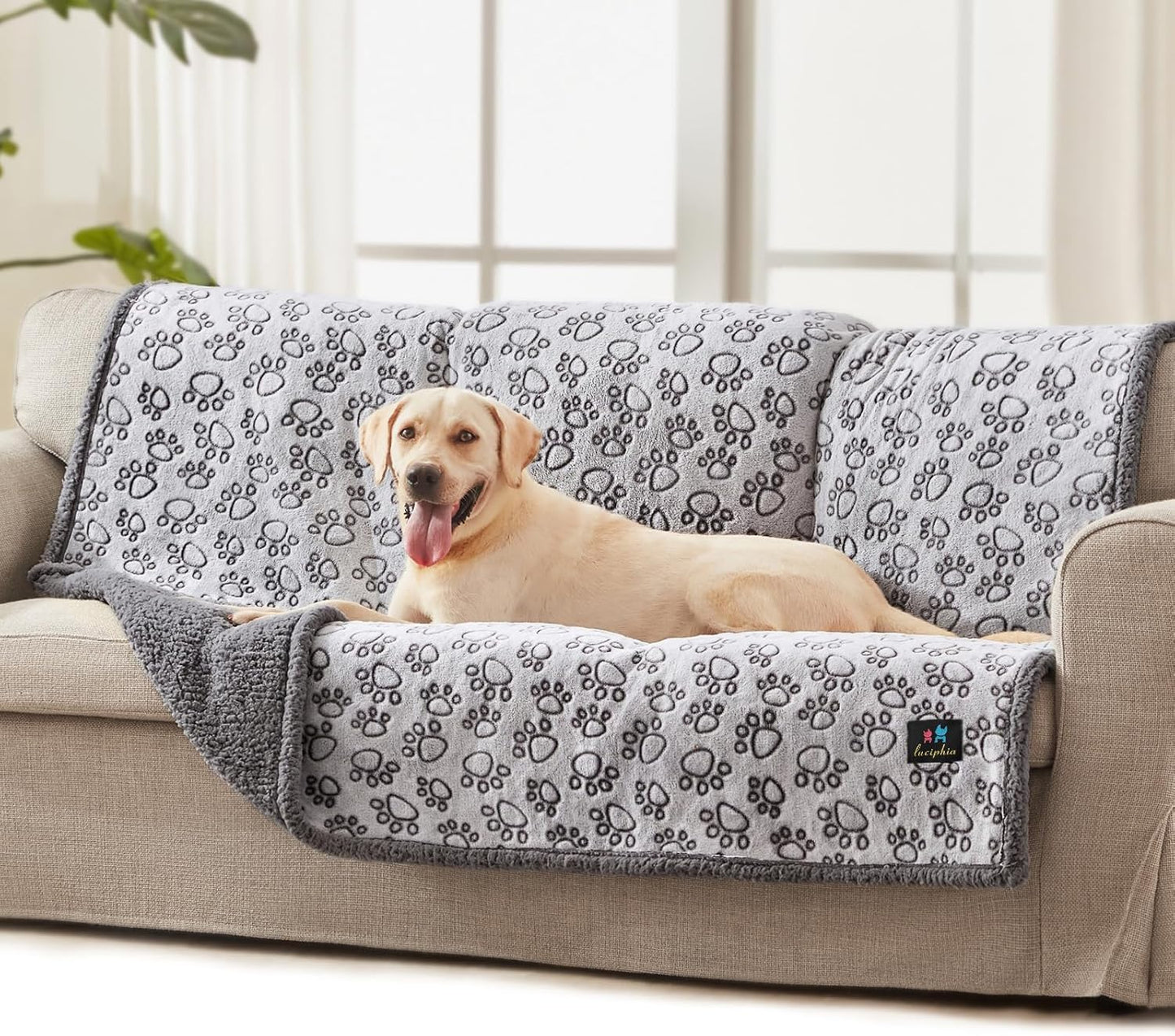 Luciphia Waterproof Pet Blankets for Couch Sofa Bed Cover Cat Liquid Pee Proof Washable Soft Fluffy Large Dog Blanket Reversible Furniture Protection Puppy Grey Paw Thicken Small（40" x 28"）