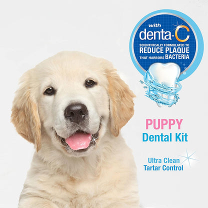 Nylabone Advanced Oral Care Natural Dog Dental Kit Peanut Flavor 2.5 oz.