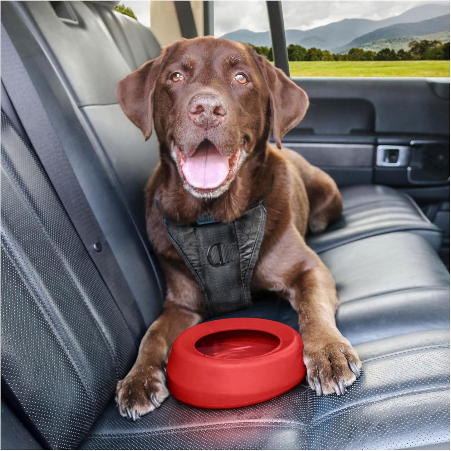 Kurgo Splash Free Wander Water Bowl, No Spill Dog Travel Bowl, Portable No Mess Bowl for Dogs, Splash Less Car Bowl for Pets, Car Accessories, 24 Ounces (Coastal Blue)
