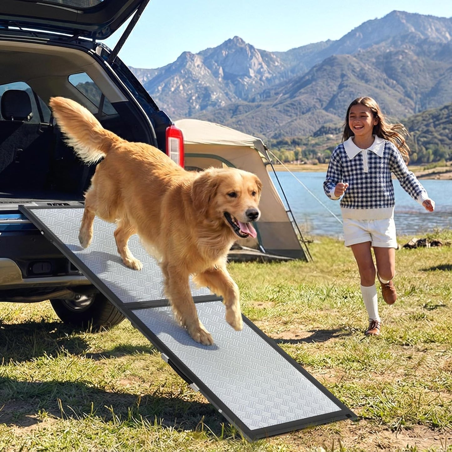 Dog Ramp for Bed & Couch for Small & Medium Dogs - Joint-Friendly, Anti-Slip, Adjustable, Odor-Free, Up to 70 lbs