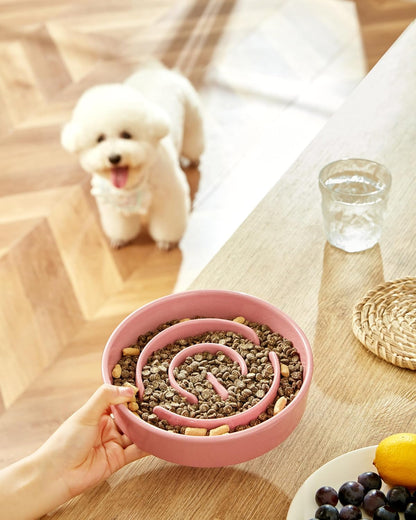 Ceramic Slow Feeder Dog Bowls, 2.0 Cups Slow Feeder for Medium Dogs, Puzzle Maze Bowl to Slow Down Eating, 30oz, 8in, White
