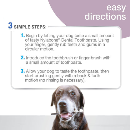 Nylabone Advanced Oral Care Natural Dog Dental Kit Peanut Flavor 2.5 oz.