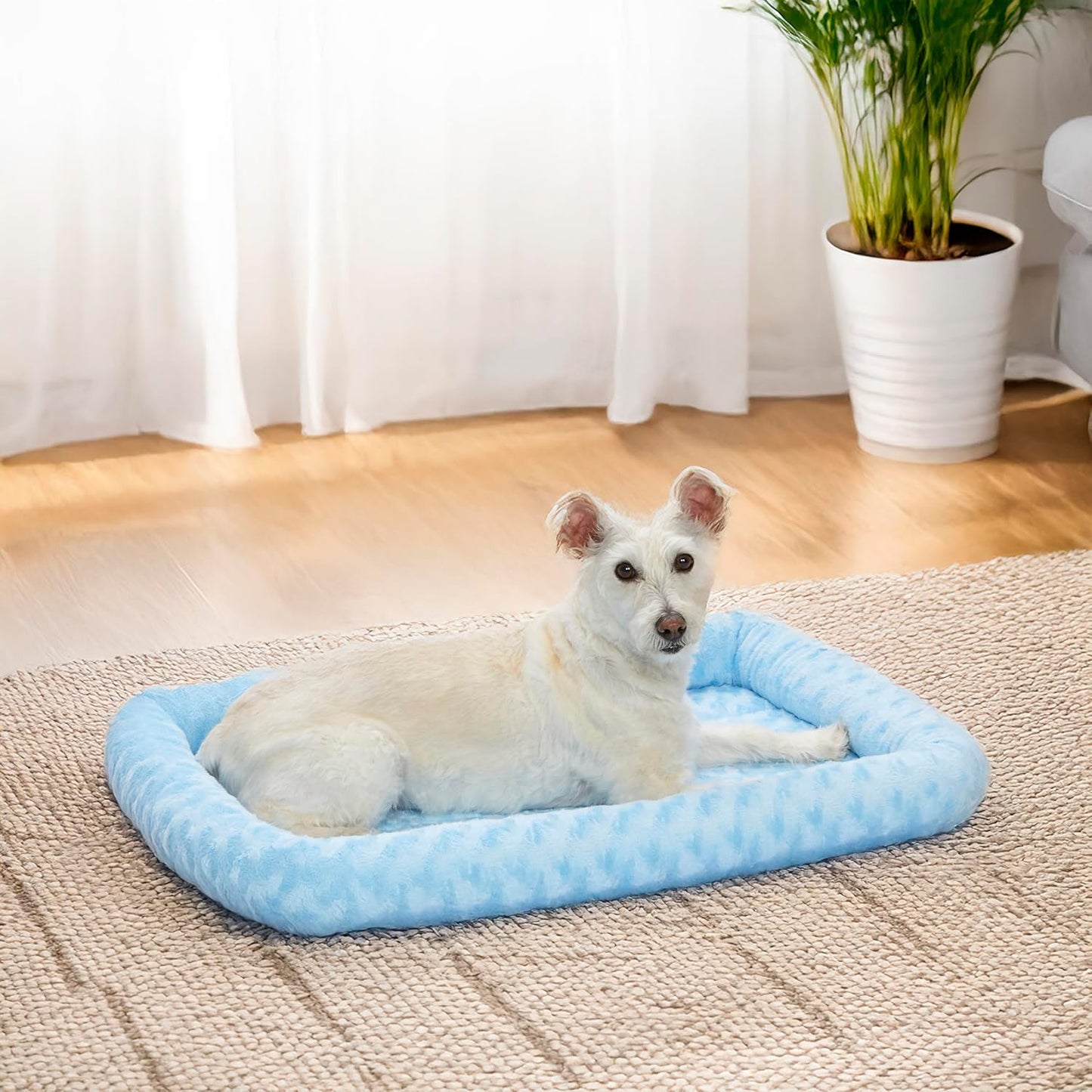 MidWest Homes for Pets QuietTime Dog Bed - White Fleece Bolster, Ultra-Soft and Machine Washable, Fits 24-Inch Crates and Carriers, for Small Breed Dogs
