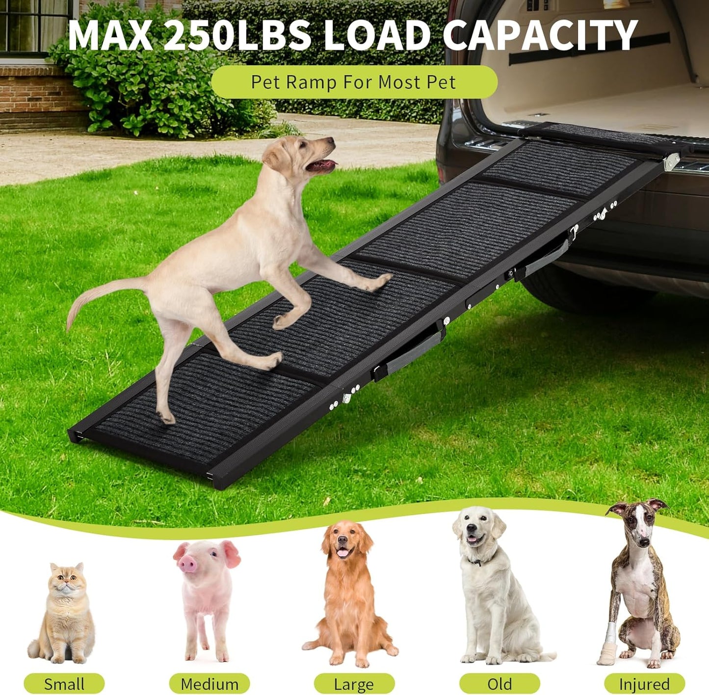 Dog Ramp for Car, 63" Long & 20" Wide Folding Dog Ramps for Car, Portable Pet Car Ramp with Non-Slip Surface, Outdoor Dog Car Ram-p Up to 250 LBS, Extra Wide Steps for SUV Car & Truck