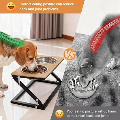 Elevated Dog Bowls, Adjustable Raised Dog Bowl Stand with 2 Stainless Steel Food Bowls 20°Tilted Water Bowls for Medium Small Sized Dogs (Black, Medium)