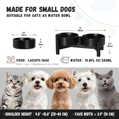 Raised Ceramic Dog Bowl Set - Elevated Double Dishes with Stainless Steel Stand - Food and Water Bowls for Small to Medium Dogs - Each Holds 3.5 Cups (29.57 fl oz) - White