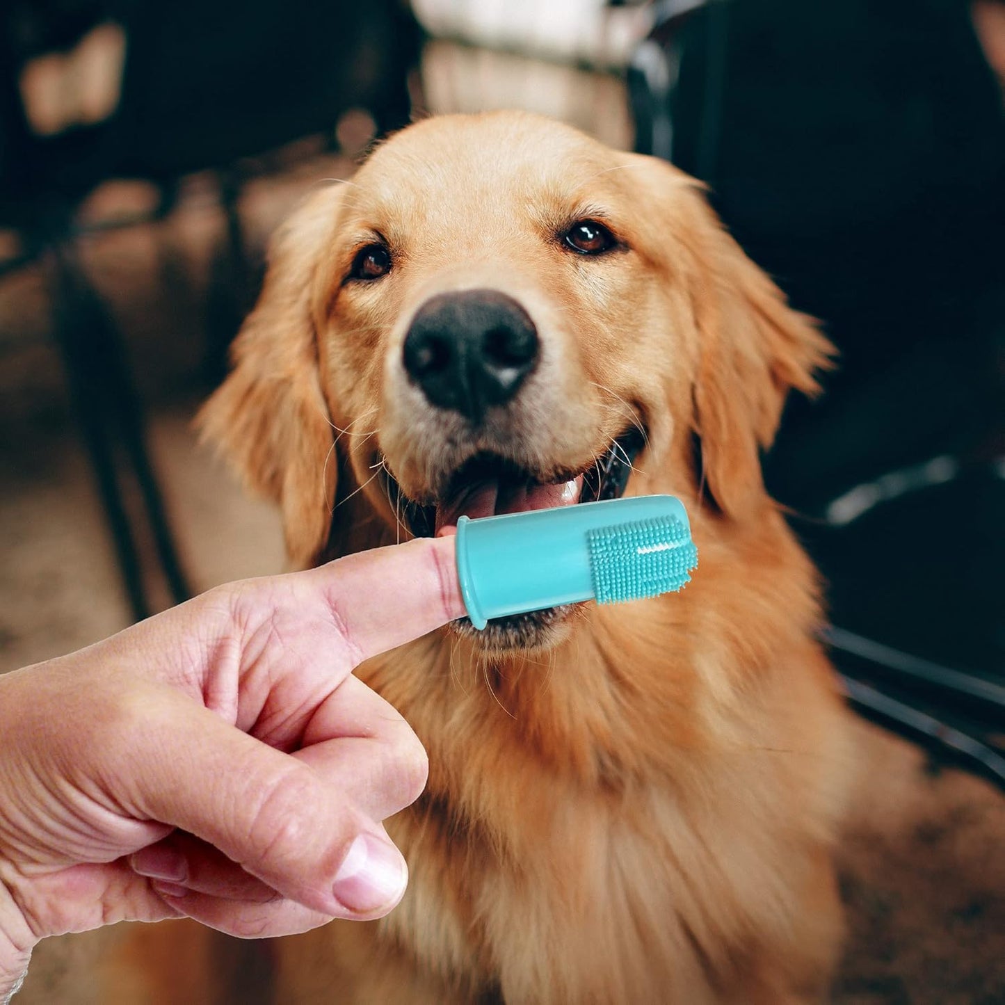H&H Pets Dog Finger Toothbrushes - Professional Pet Finger Dental Brush Set for Dogs Puppies Cats, Soft Bristles, Size Small 4 Count-Silicon