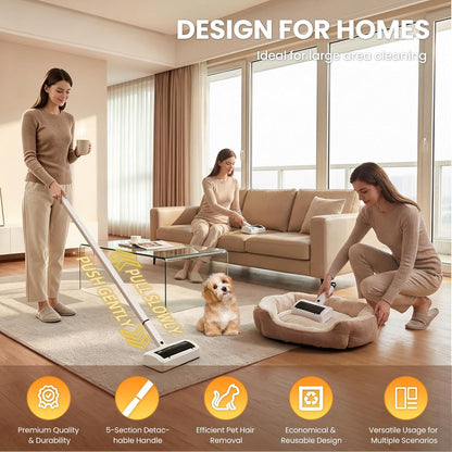Carpet Rake Electric Rechargeable for Pet Hair Removal 10X Efficient and Quiet Cat Dog Hair Remover for Carpet, Rugs, Mats