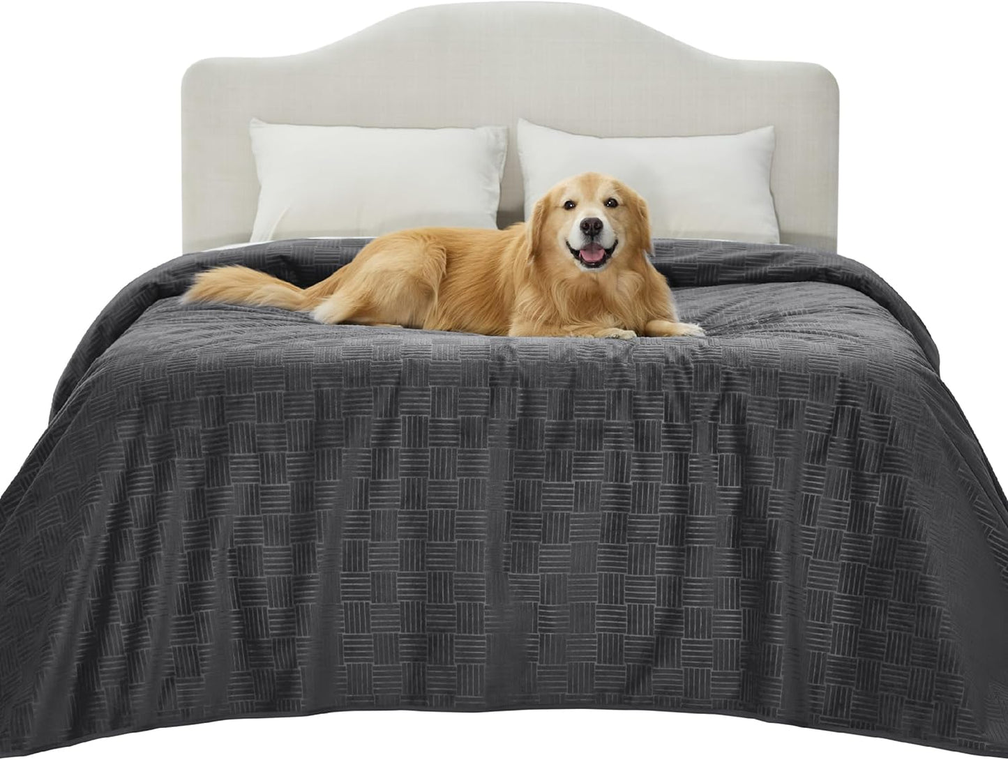 Bedsure Waterproof Couch Cover for Dogs Washable - Waterproof Blanket for Large Dogs Couch Sofa Bed Cozy, Lightweight Furniture Protector for Pet Cat Quick Drying, Ash Grey, 52x82IN