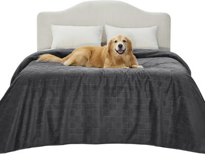 Bedsure Waterproof Couch Cover for Dogs Washable - Waterproof Blanket for Large Dogs Couch Sofa Bed Cozy, Lightweight Furniture Protector for Pet Cat Quick Drying, Ash Grey, 52x82IN