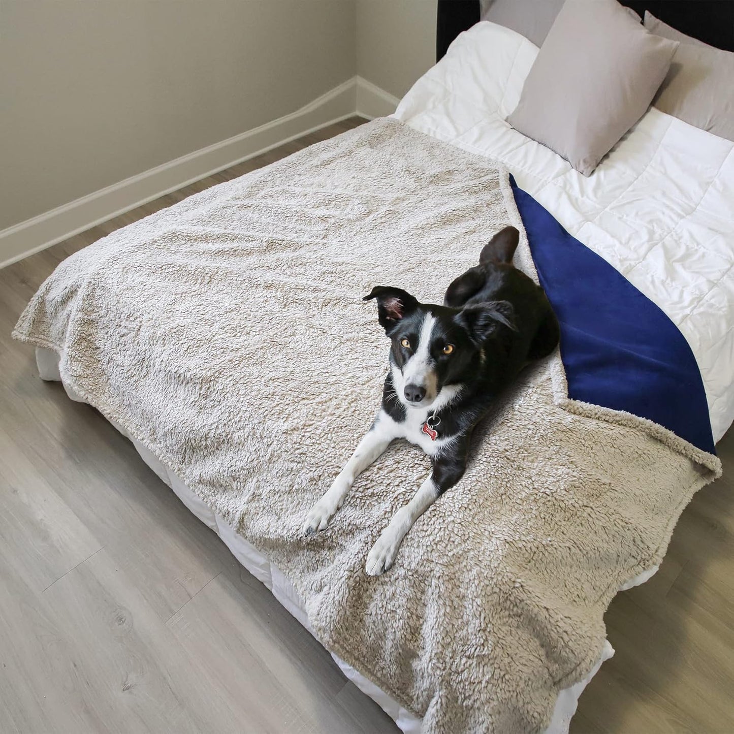 Kritter Planet Waterproof Dog Blanket, Reversible Water Proof Pet Blanket for Couch, Bed & Sofa, Washable Couch Covers for Large Dogs - Protects Furniture from Fur, Dirt, and Accidents