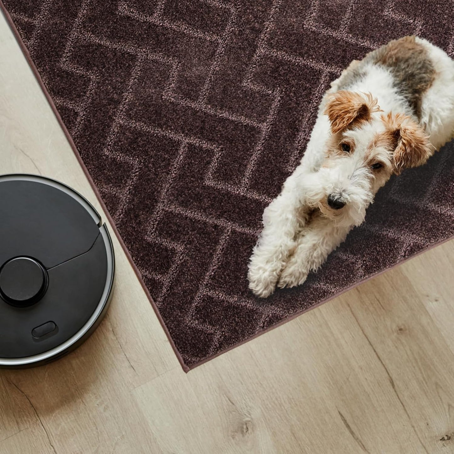PURRUGS Dirt Trapping Door Mat 20" x 31.5", Non-Slip Machine Washable Entry Rug, Dog Doormat, Indoor Front Door Mat, Super Absorbent Entryway Rug for Muddy Shoes & Paws, Taupe
