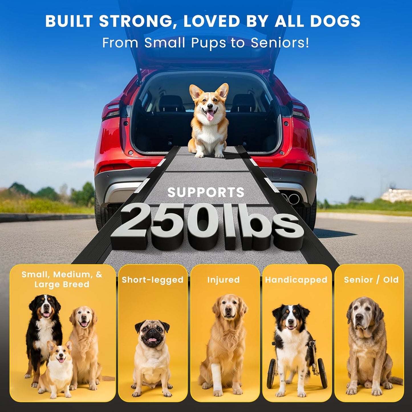 Portable Dog Ramp for Car – Foldable Dog Car Ramp for Truck, SUV, High Bed & Sofa with Anti-Slip Feet & Traction Carpet – Small to Large Breeds (63" Long & 17" Wide)