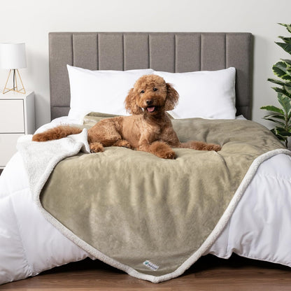 PetAmi Waterproof Dog Blanket for Couch, Large 60x40, Pee Proof Sherpa Fleece Reversible Pet Throw, Furniture Protector for Bed Sofa Kennel, Soft Washable Cover for Medium Dogs Cats, Grey Sherpa