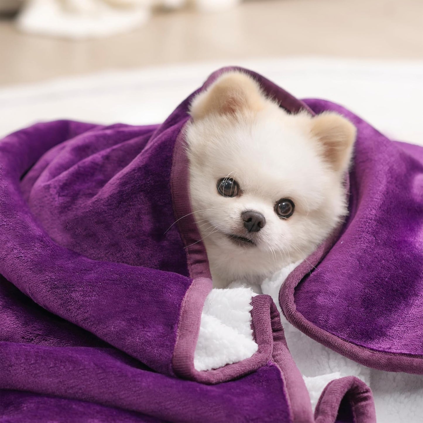 gogobunny Waterproof Blanket for Bed Couch Sofa, Liquid Pee and Fur Proof Pet Blanket for Dog Puppy Cat, Reversible Sherpa Fleece Throw Blanket Furniture Cover Protector (Grey, 50x60 inches)