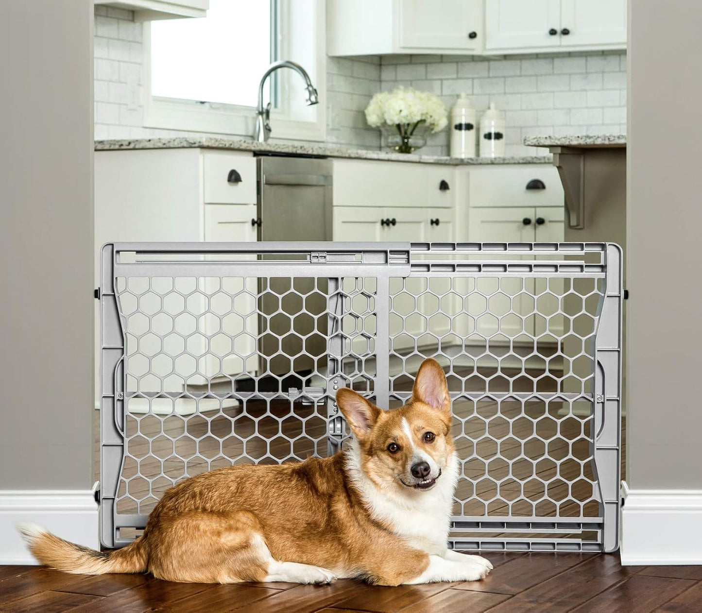 Carlson 18-30.75" Mini Expandable Dog Gate with Small Pet Door, Pressure Mounted Metal Indoor Pet Gate for Doorways & Bottom of Stairs, Cat Gate, White