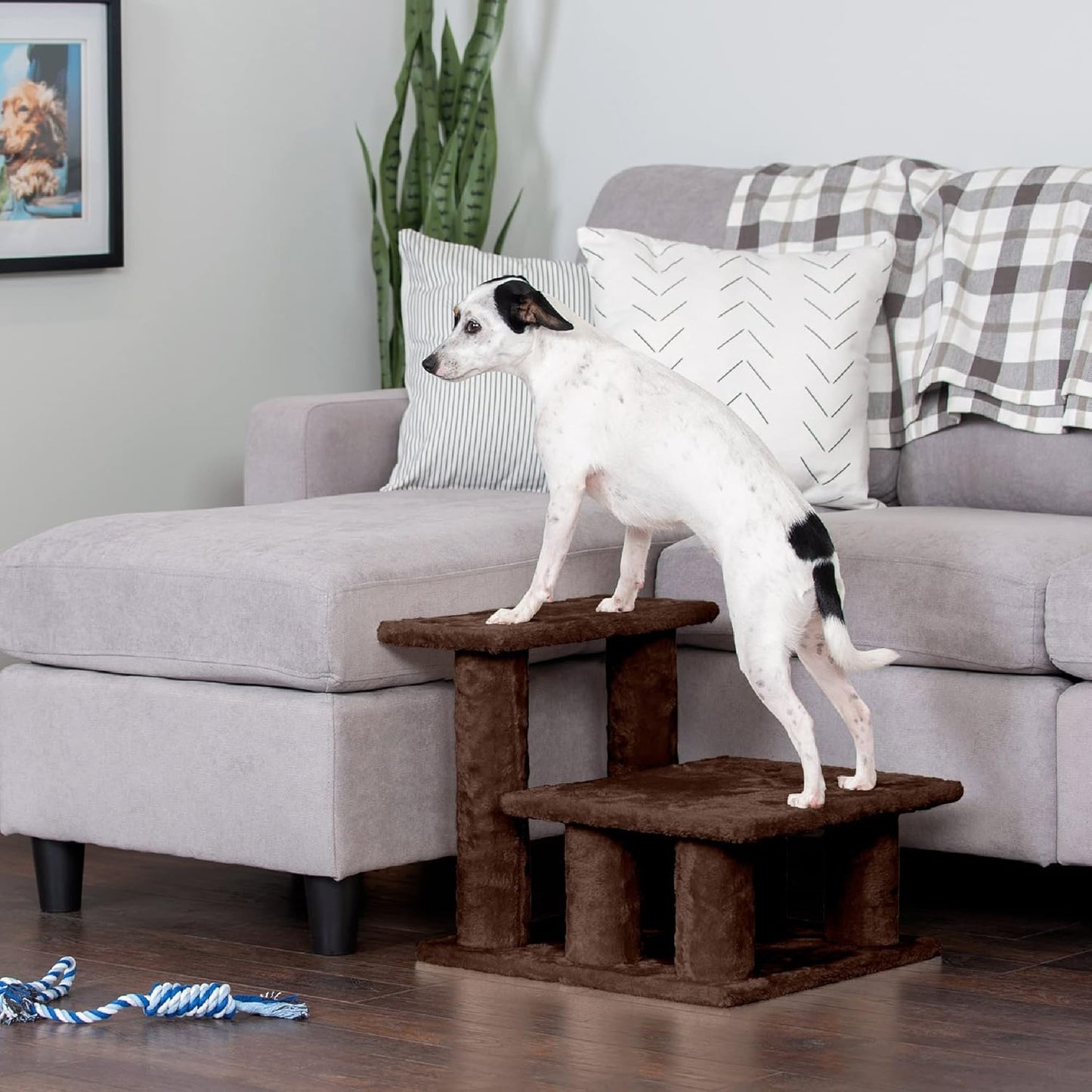 Furhaven Steady Paws Multi-Step Pet Stairs for High Beds & Sofas - Cream, 3-Step