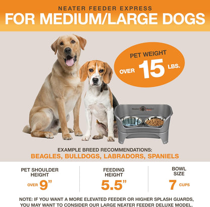 Neater Feeder Express Mess Proof Dog Bowls Elevated for Small Breeds under 15 Lb, Made in USA, No Spill Raised Dog Food Bowl Stand, Stainless Steel Food and Water Bowl Set, Feeding Station, Cappuccino