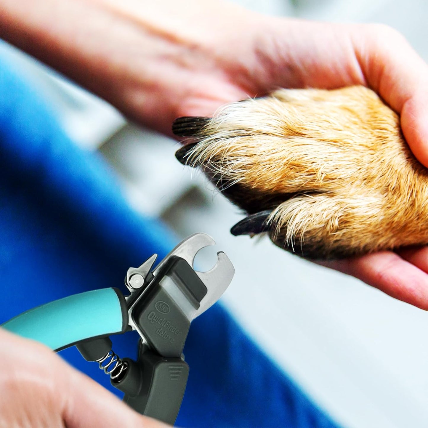Miracle Care QuickFinder Guillotine-Style Dog Clippers, Small/Medium