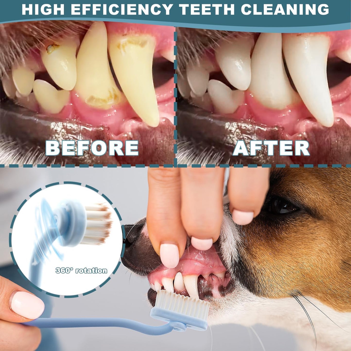 Dog Toothbrush Kit, 360-Degree Finger Three-Sided Design, Replaceable Brush Heads, Easy Teeth Cleaning and Dental Care (20 Pack)