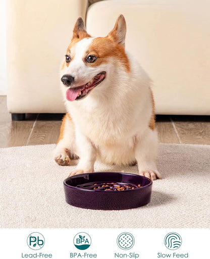 vancasso Slow Feeder Dog Bowl, 1.5 Cup Ceramic Slow Feeding Food Dish for Small and Medium Breed, Puzzle Dog Food Bowl for Fast Eater, Pink