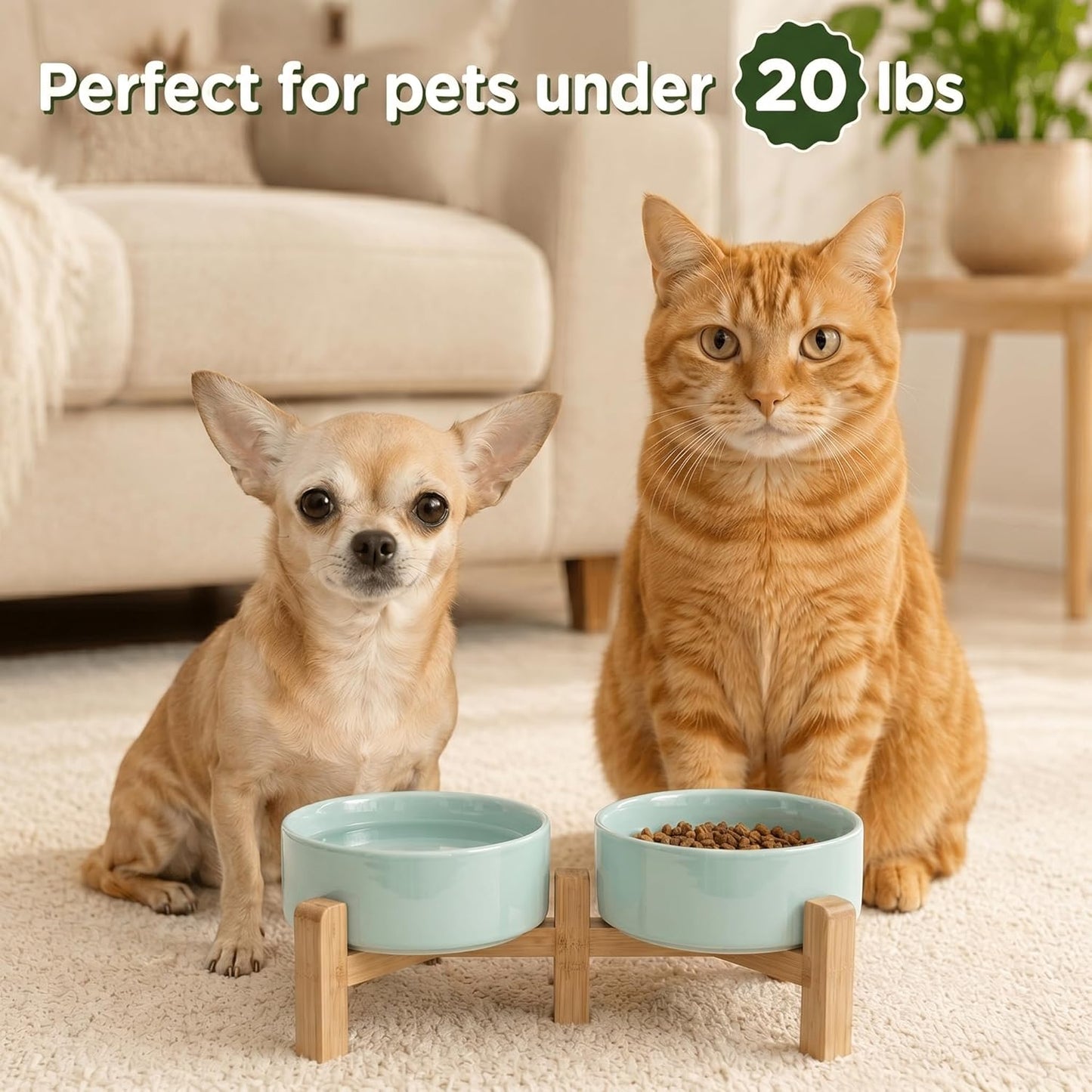 SPUNKYJUNKY Elevated Dog Bowls Ceramic, 6.1'' Dogs and Cat Food Water Bowls Raised with Non-Slip Bamboo Stand for Medium Sized Breed Microwave Dishwasher Safe - 28.7 OZ,Beige