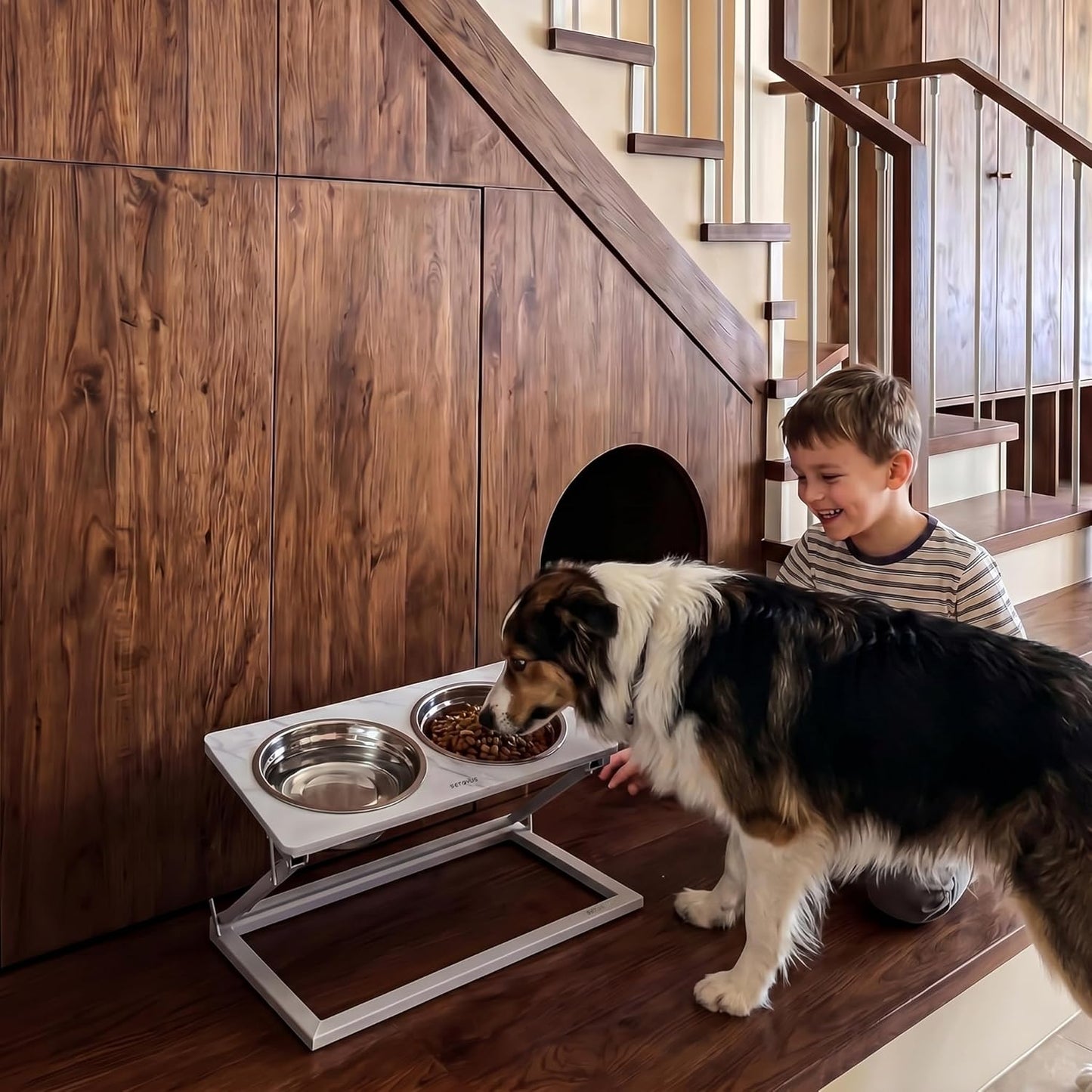 Elevated Dog Bowls, Adjustable Raised Dog Bowl Stand with 2 Stainless Steel Food Bowls 20°Tilted Water Bowls for Medium Small Sized Dogs (Black, Medium)