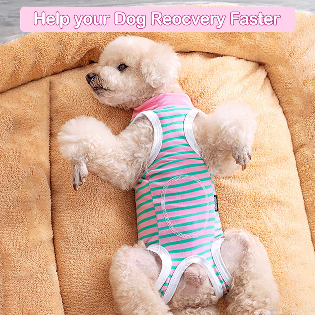 Recovery Suit for Dogs After Surgery Dog Onesie Female Spay Surgical
