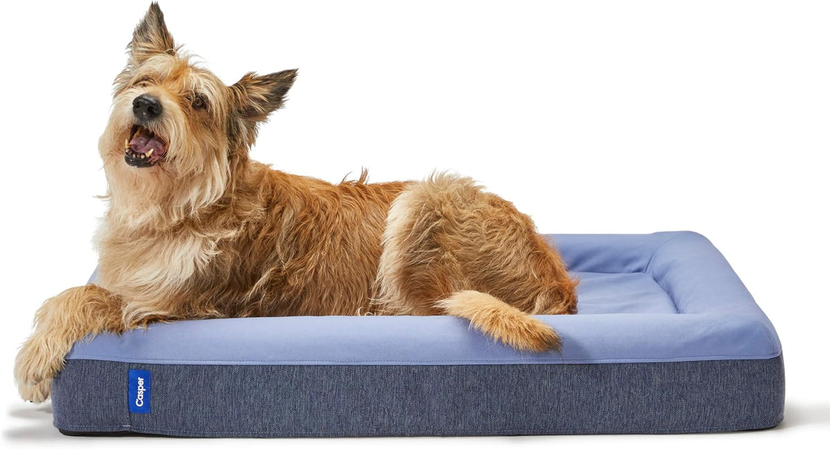 Dog Bed, Plush Memory Foam, Small, Gray, 26.0"L x 19.0"W x 6.0"Th