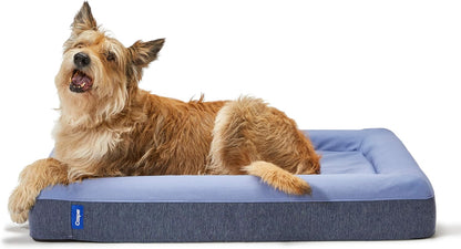 Dog Bed, Plush Memory Foam, Small, Gray, 26.0"L x 19.0"W x 6.0"Th