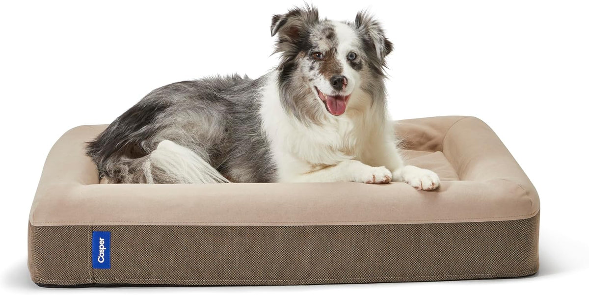 Dog Bed, Plush Memory Foam, Small, Gray, 26.0"L x 19.0"W x 6.0"Th