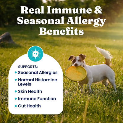 Solid Gold Dog Allergy Chews for Itchy Skin & Immune Support