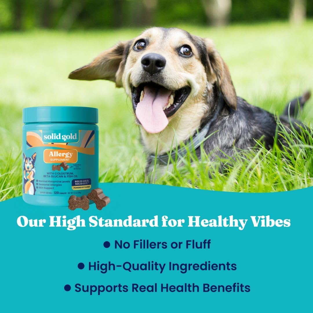 Solid Gold Dog Allergy Chews for Itchy Skin & Immune Support
