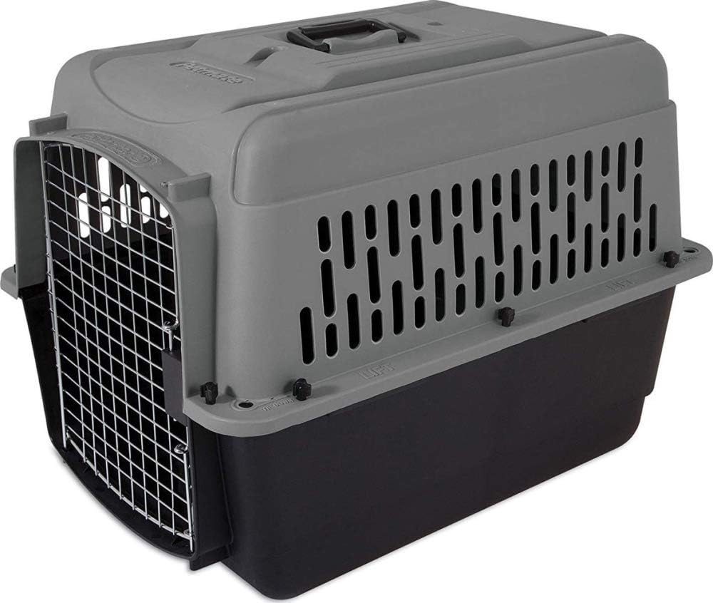 Aspen Pet Dog, Cat, Chicken Kennel, Medium, Travel Carrier