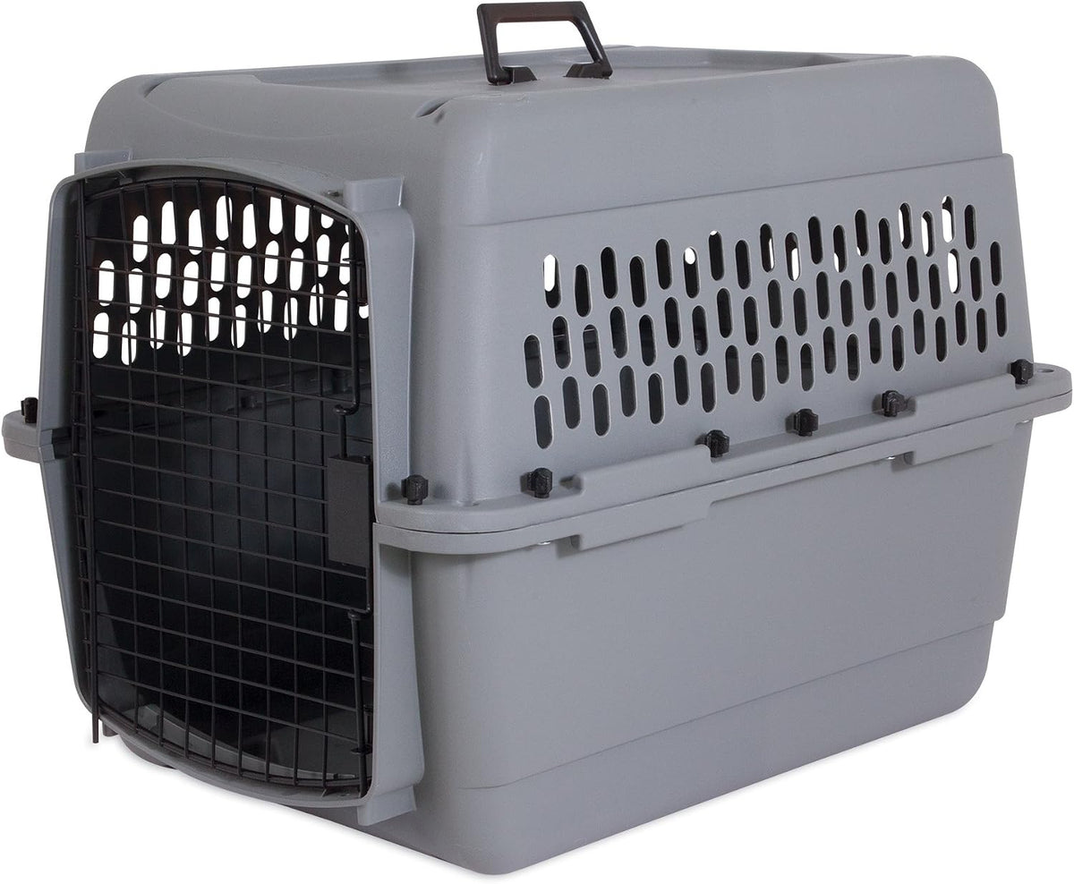 Aspen Pet Dog, Cat, Chicken Kennel, Medium, Travel Carrier