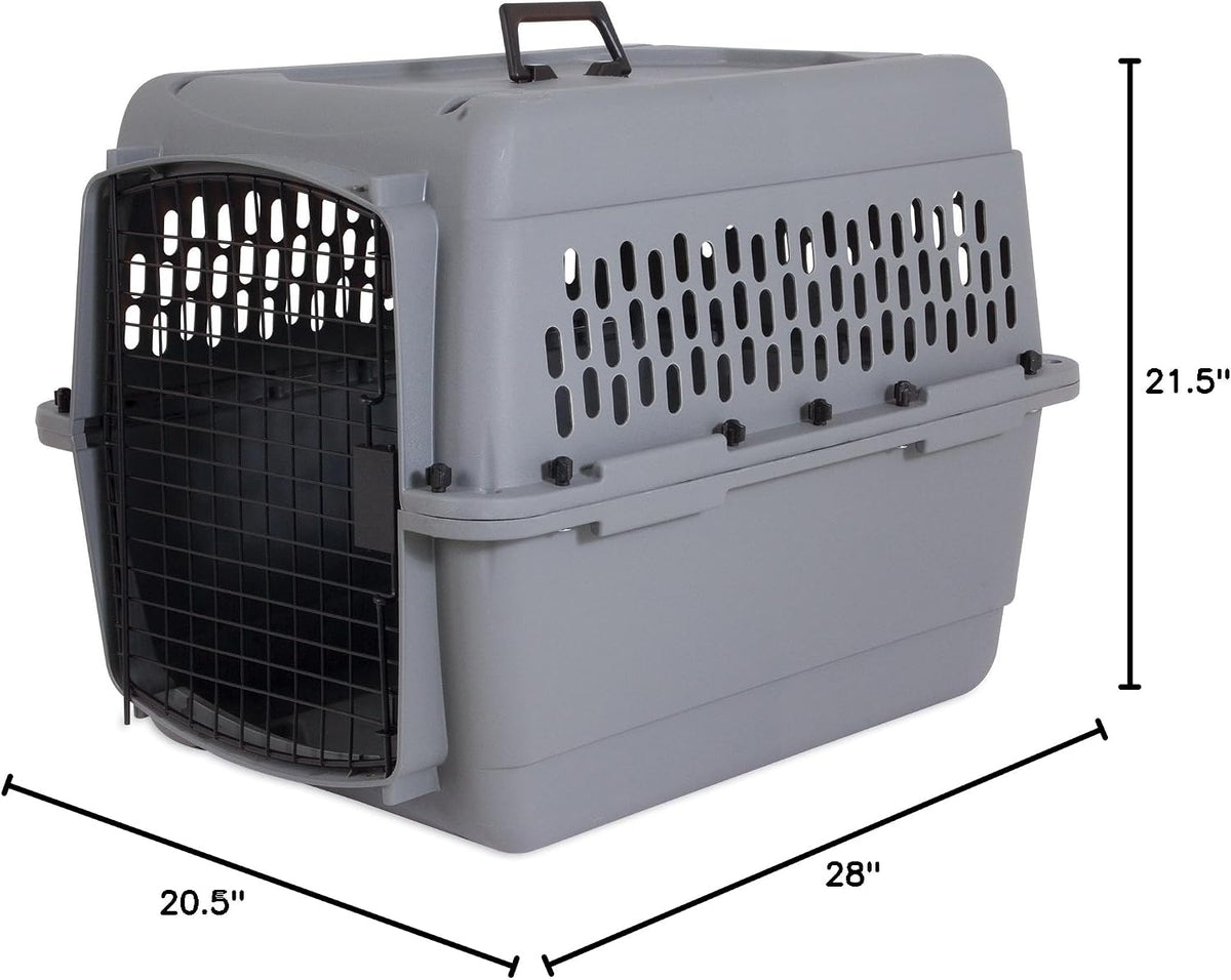 Aspen Pet Dog, Cat, Chicken Kennel, Medium, Travel Carrier