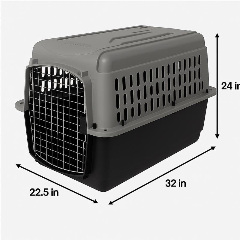 Aspen Pet Dog, Cat, Chicken Kennel, Medium, Travel Carrier