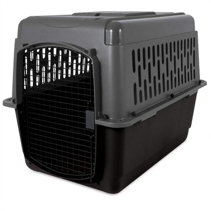 Aspen Pet Dog, Cat, Chicken Kennel, Medium, Travel Carrier