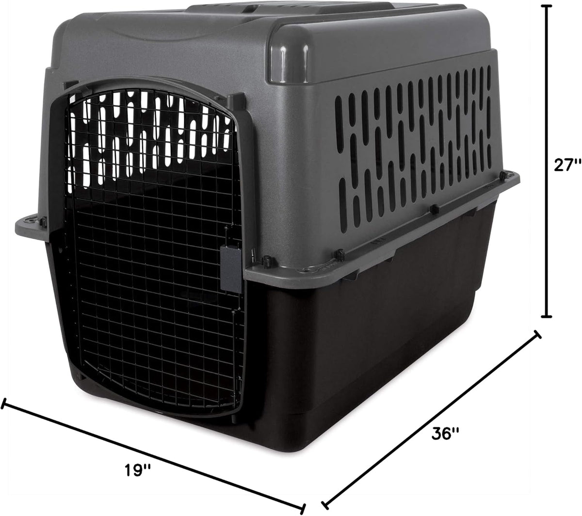 Aspen Pet Dog, Cat, Chicken Kennel, Medium, Travel Carrier