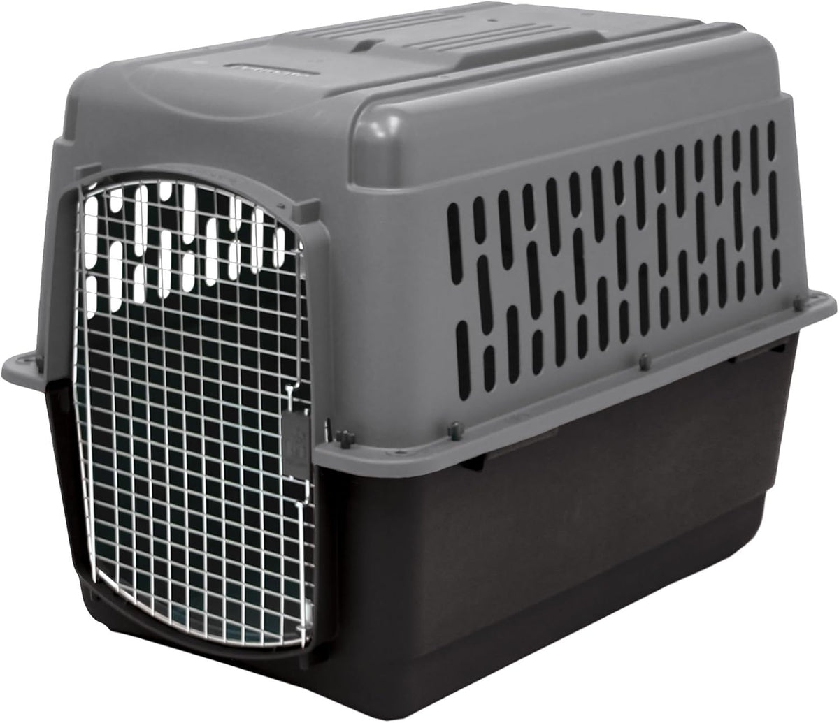 Aspen Pet Dog, Cat, Chicken Kennel, Medium, Travel Carrier