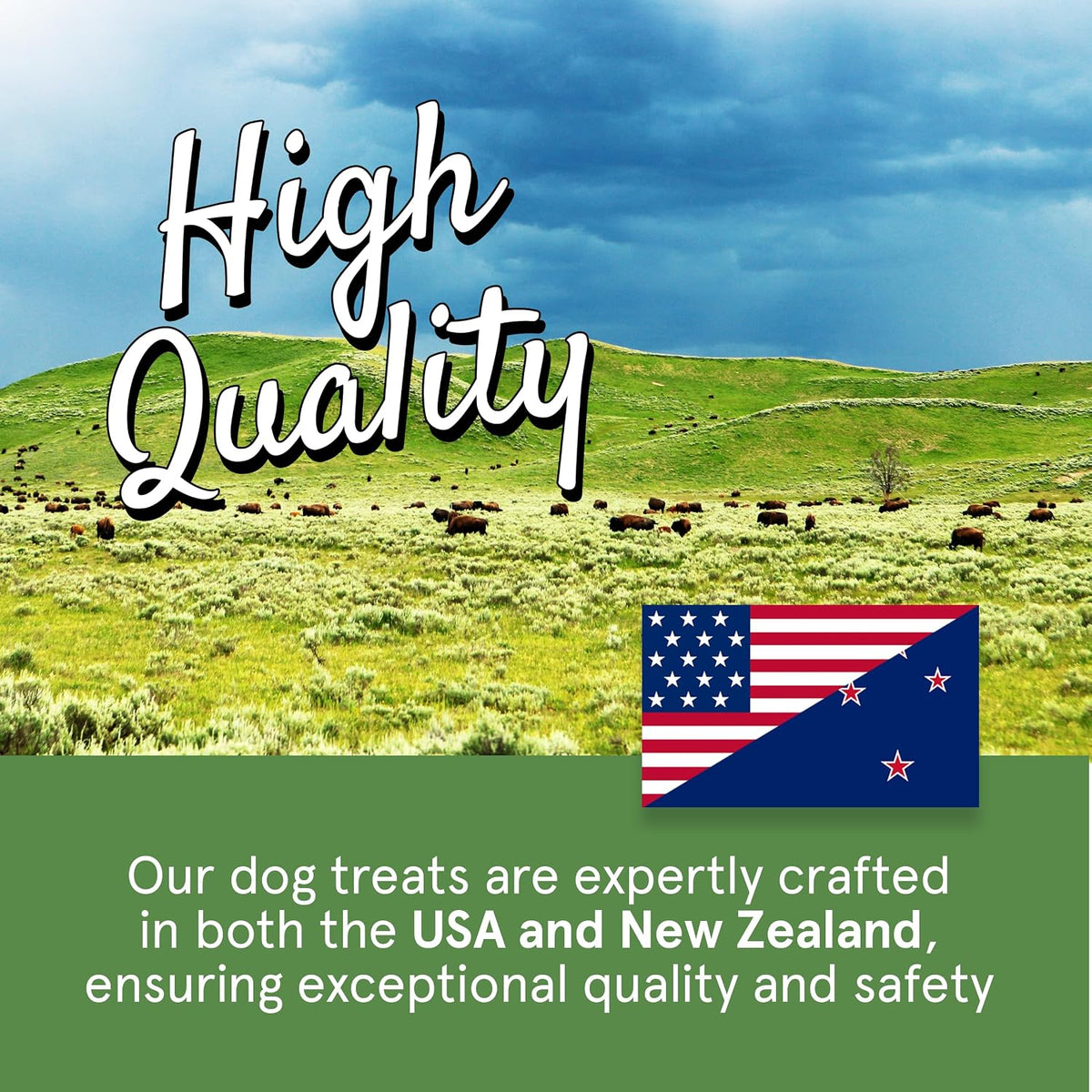TRMC Real Meat Beef Jerky Dog Treats - 8 Air-Dried Strips of Jerky- Grain-Free Pet Snacks Made up of 95% Free-Range Grass Fed Beef - All-Natural