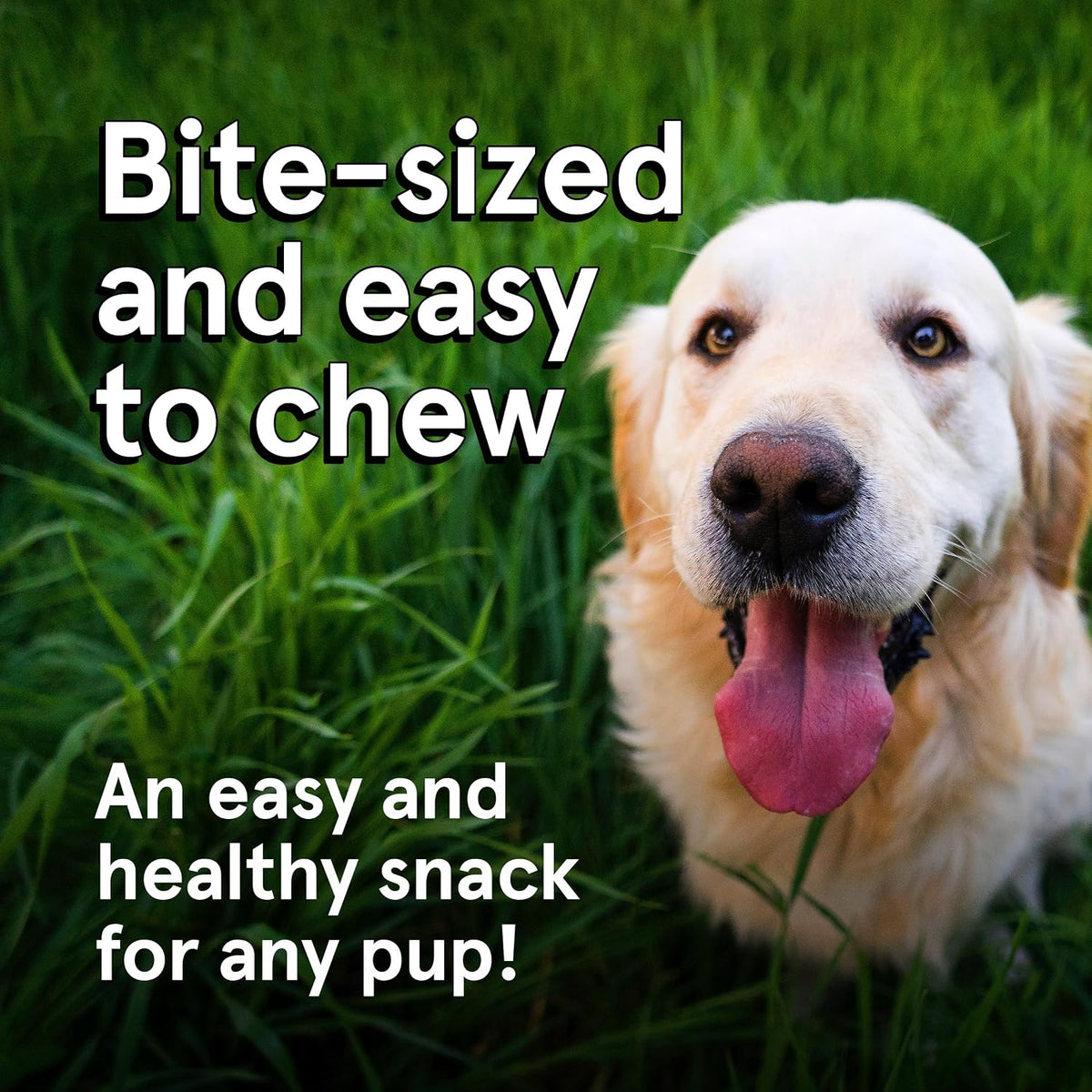 TRMC Real Meat Beef Jerky Dog Treats - 8 Air-Dried Strips of Jerky- Grain-Free Pet Snacks Made up of 95% Free-Range Grass Fed Beef - All-Natural